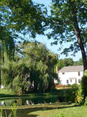 The lake